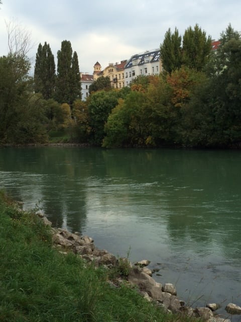 Learning from the Danube: The Role of Stories, Purpose and Information in Decisions