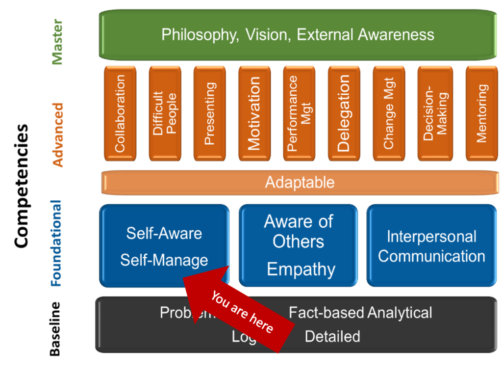 Blue Fjord Leadership System diagram of competencies for managers